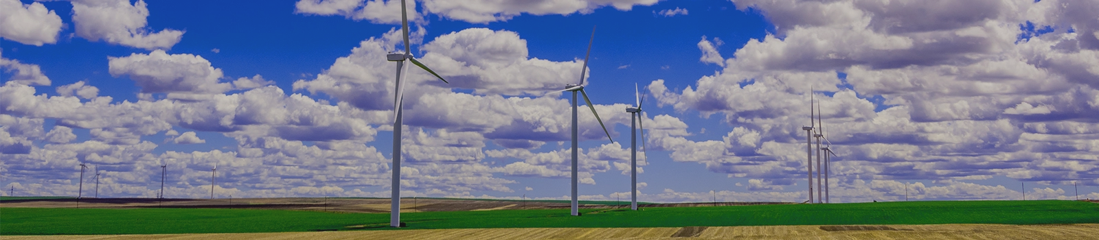 Windmills in fields in eastern Oregon