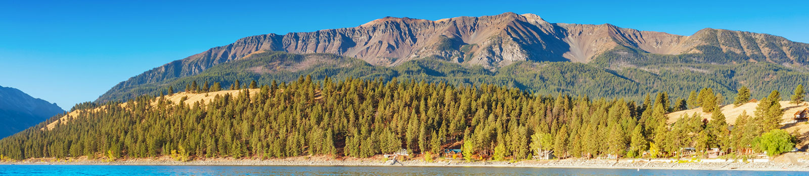 Trees along Wallowa Lake in Joseph, OR.