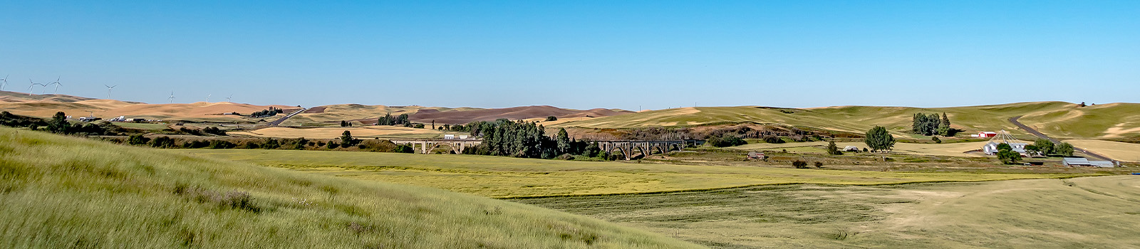 Panoramic view of the Palouse fields