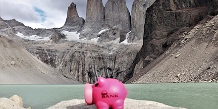 Hamilton the piggy bank is posed in front of a rock formation.