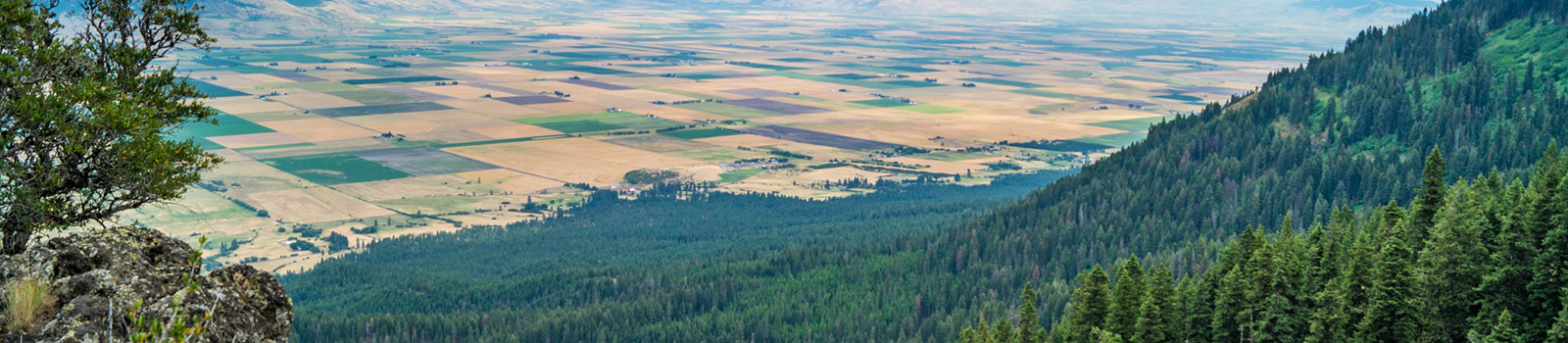 Grande Ronde Valley aerial view from Skyline Road near Elgin, OR.