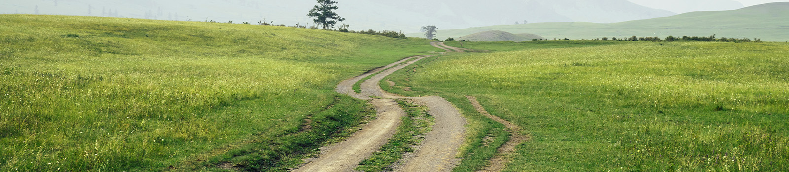 Dirt trail in grass field