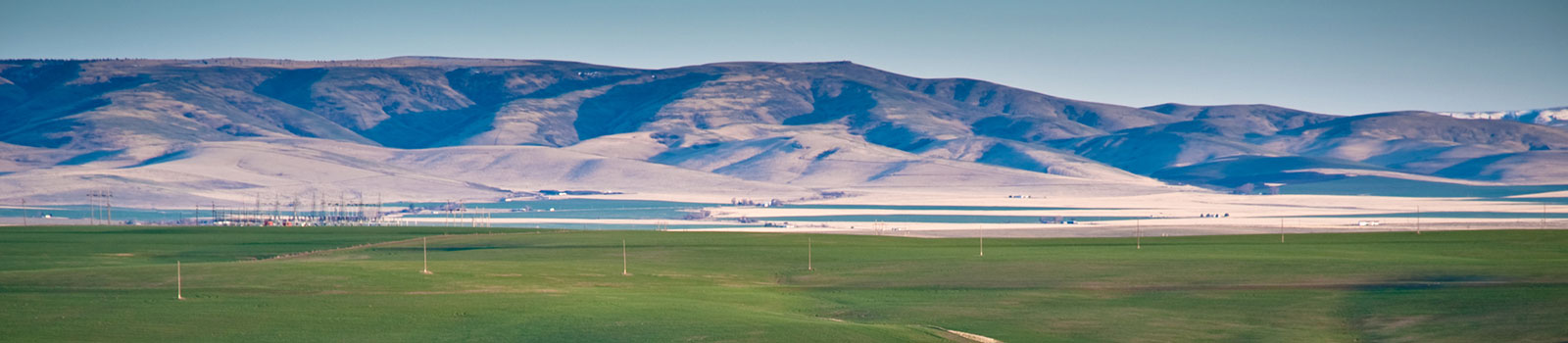 Green agricultural land with blue mountains in background near Pendleton, OR.