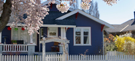 Blue house with cherry blossoms in the front yard