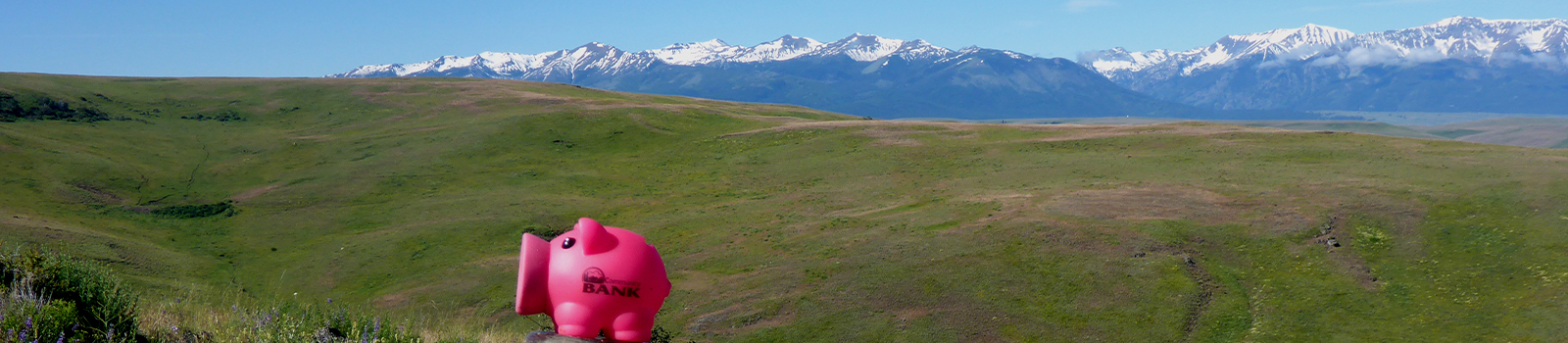 Piggy bank in front of snowy mountains