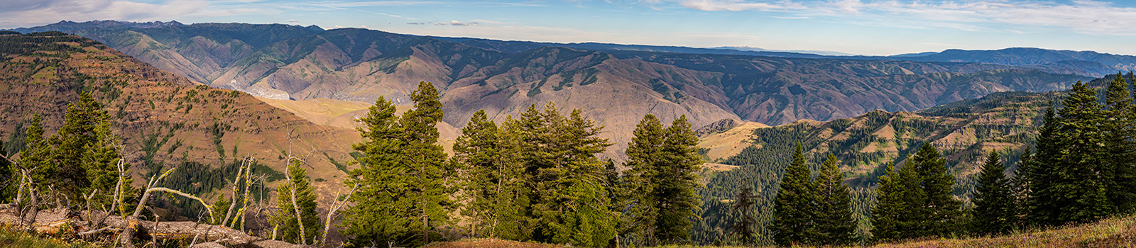 Hells Canyon Overlook - looking into Idaho from Oregon