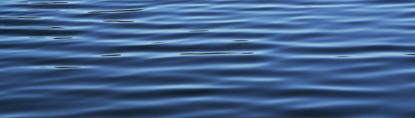 Water ripples in lake